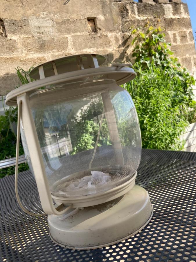 Corte Baracca B&B Suite Matino Εξωτερικό φωτογραφία